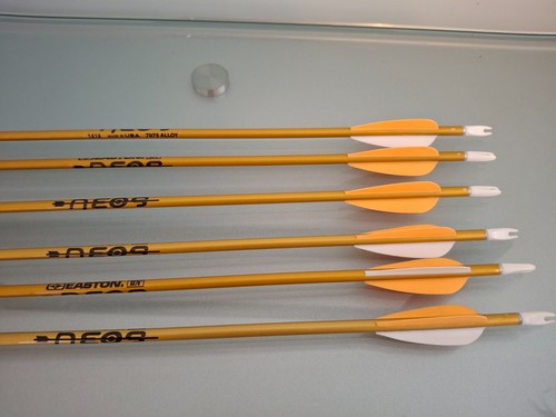 Easton neos 1618 arrows - , 6