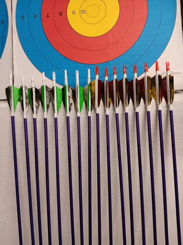 Easton jazz aluminium arrows - easton,