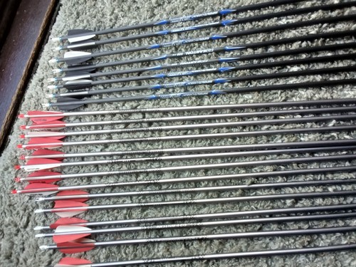 Easton 500 spine carbon