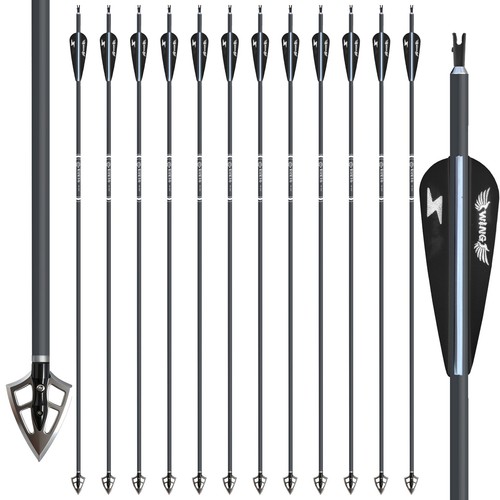 12pcs carbon arrows - 12pcs, with