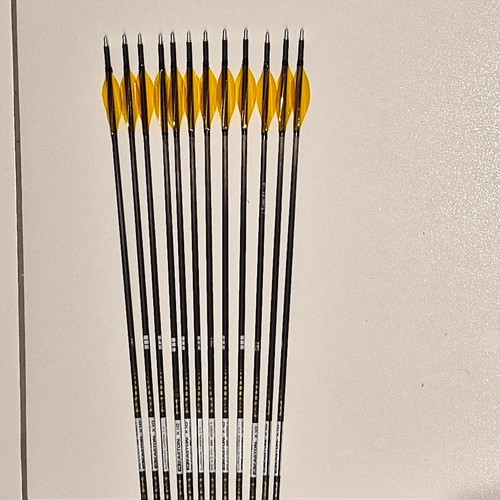 Easton x10 450 - 450, spine