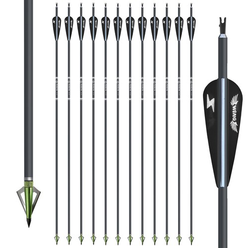 12pcs carbon arrows with - 30",
