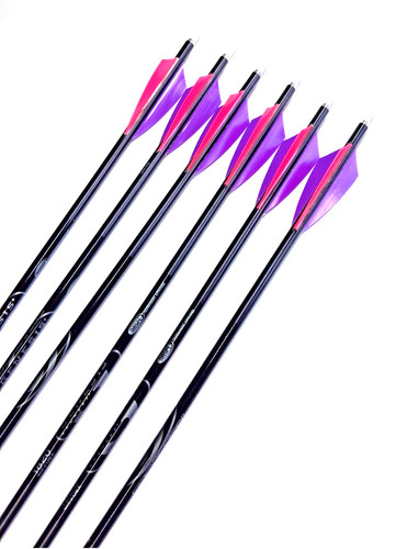 Nasp genesis youth - youth, arrows